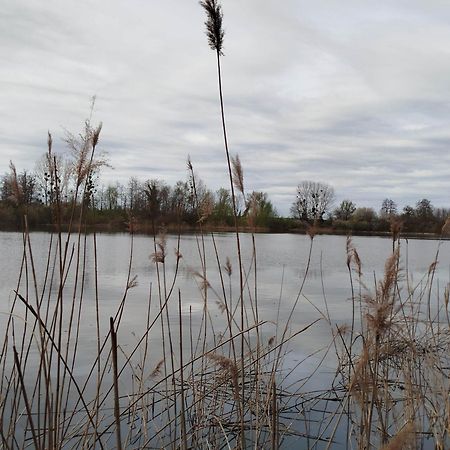 L'Albizia Gite Climatise St Maurice Saint-Maurice-en-Riviere Exteriér fotografie