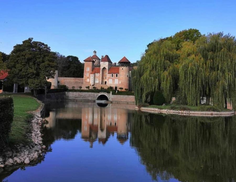 L'Albizia Gite Climatise St Maurice Saint-Maurice-en-Riviere Exteriér fotografie