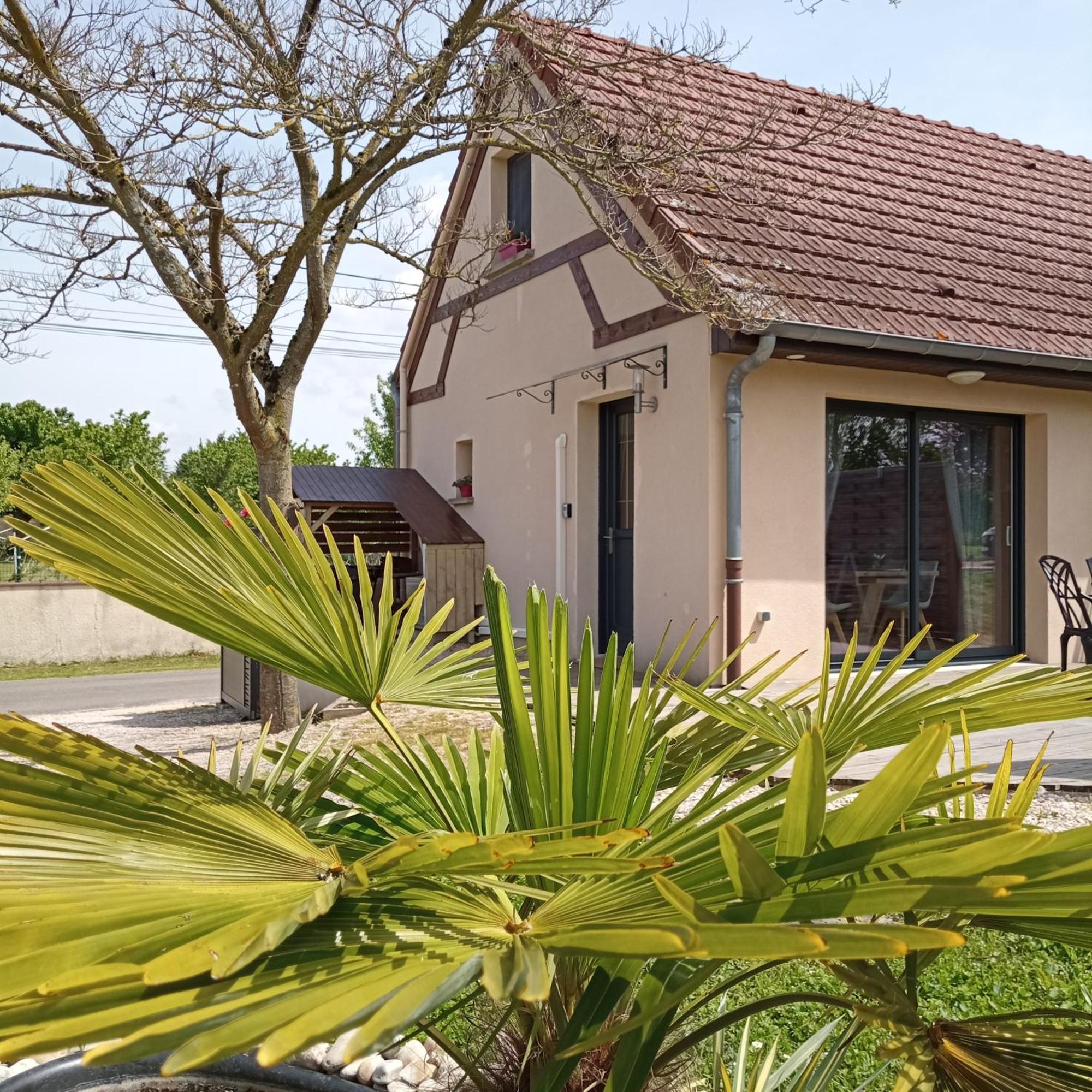 L'Albizia Gite Climatise St Maurice Saint-Maurice-en-Riviere Exteriér fotografie