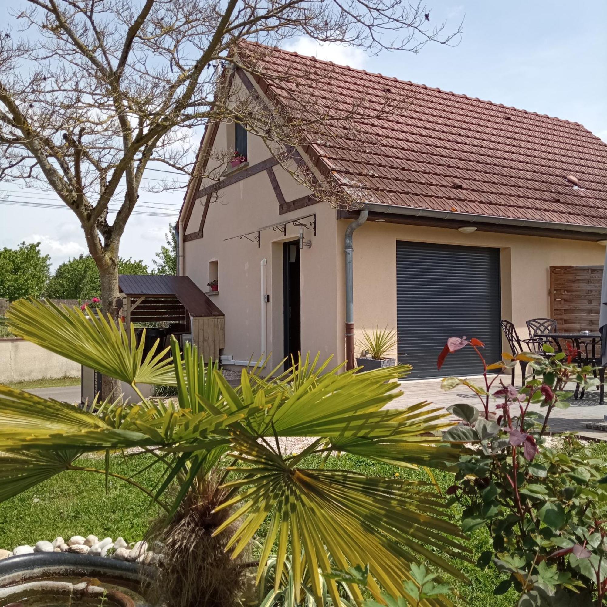 L'Albizia Gite Climatise St Maurice Saint-Maurice-en-Riviere Exteriér fotografie