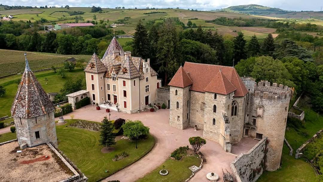 L'Albizia Gite Climatise St Maurice Saint-Maurice-en-Riviere Exteriér fotografie